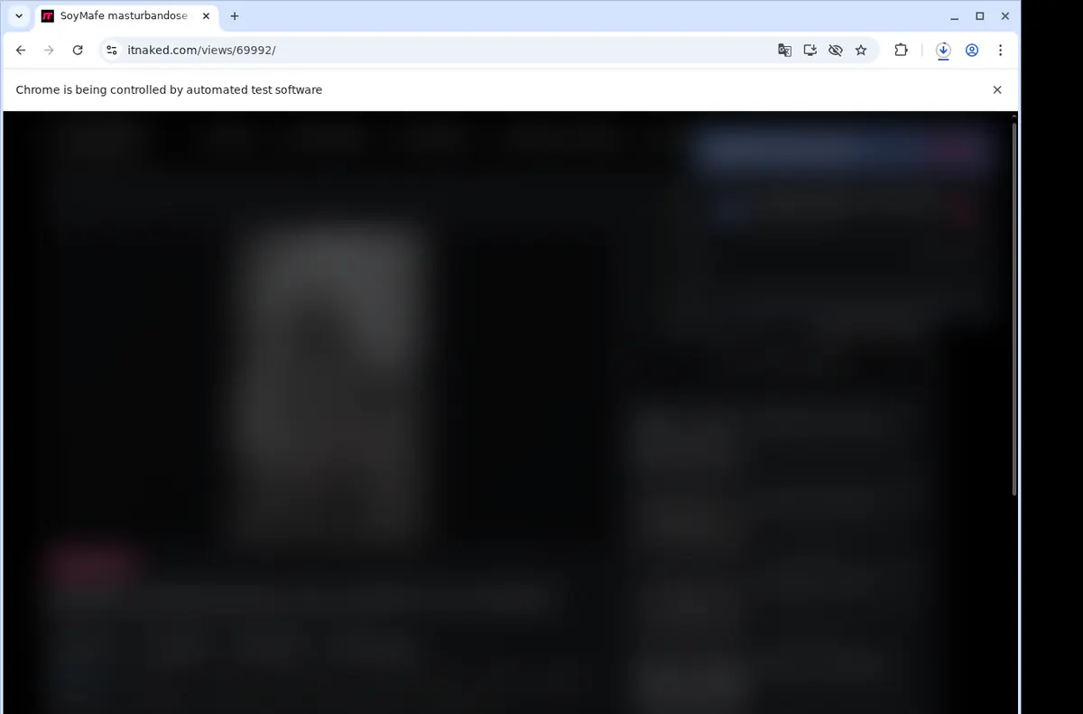 Itnaked Video Downloader browser extension screenshot 2