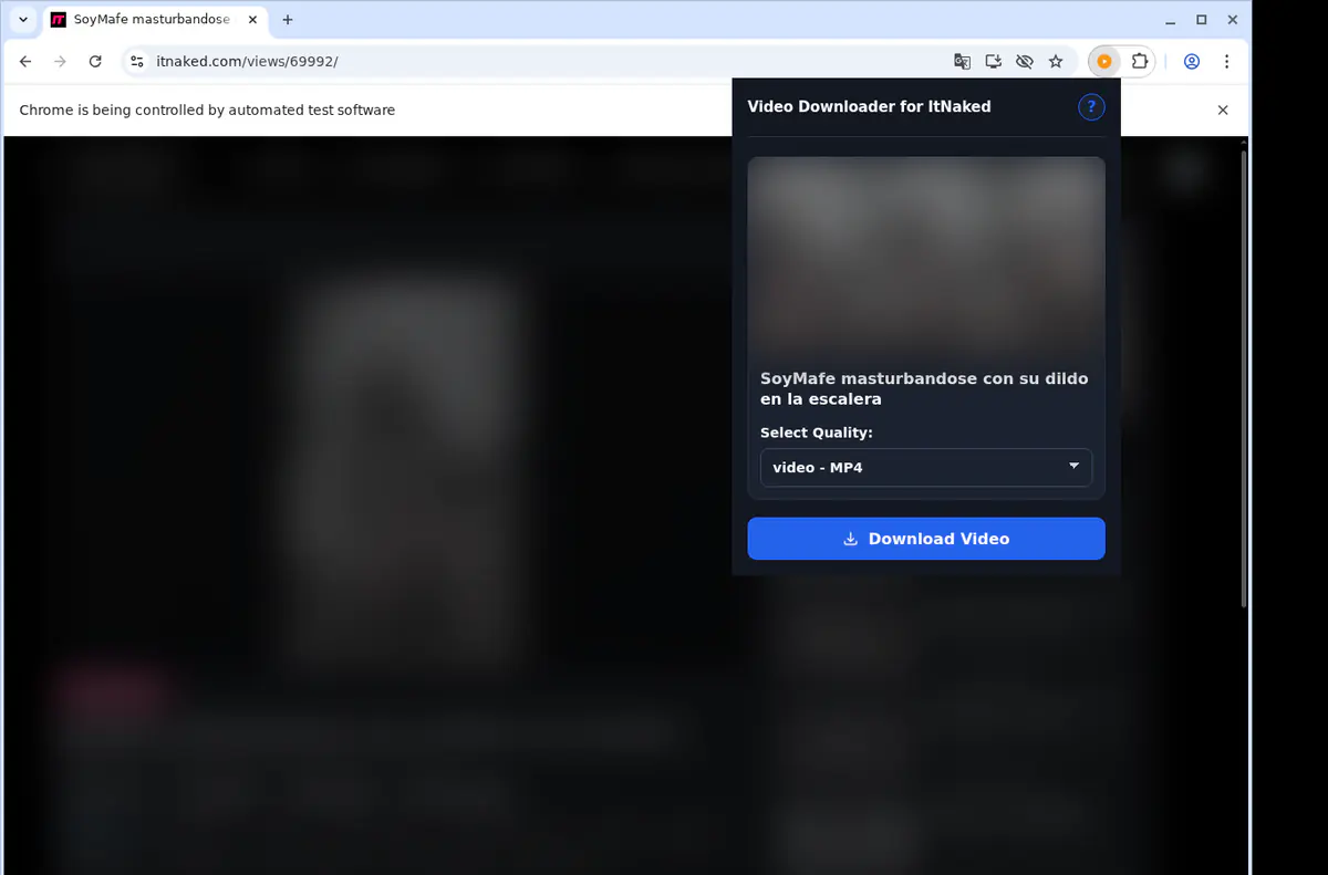 Itnaked Video Downloader browser extension screenshot 3