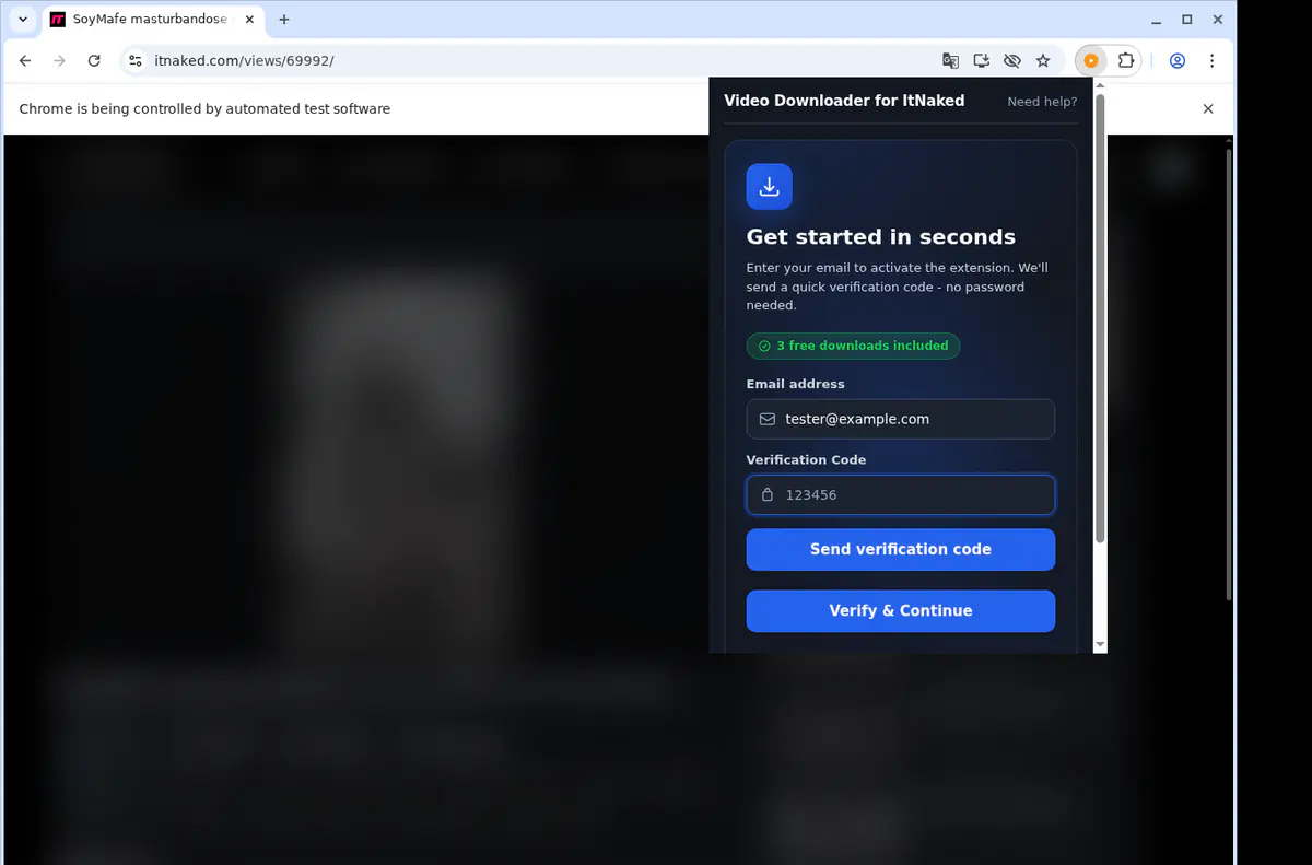 Itnaked Video Downloader browser extension screenshot 4